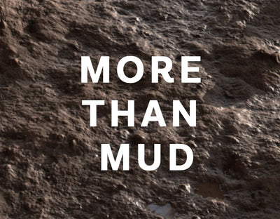 More than Mud - Janet Gubser